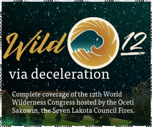 WILD12 series graphic