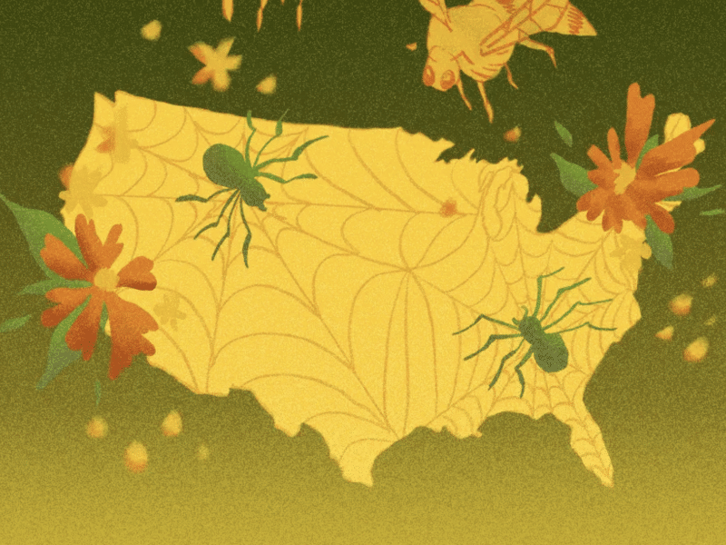 What Our Pro-Democracy Movement Should Be Learning from Nature