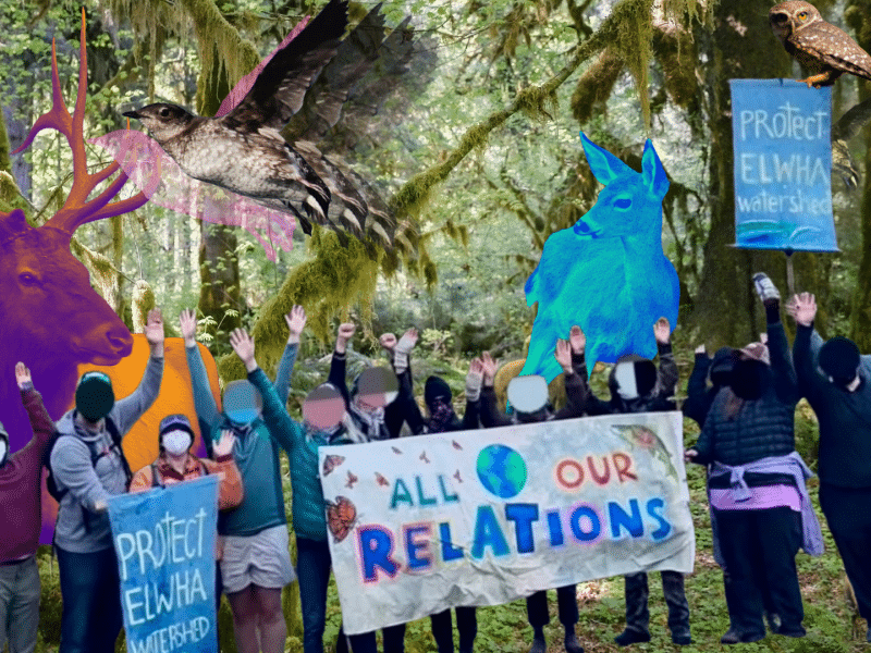 ‘Slaying Monsters’: Lessons From a Washington Tree Sit for Activists Everywhere